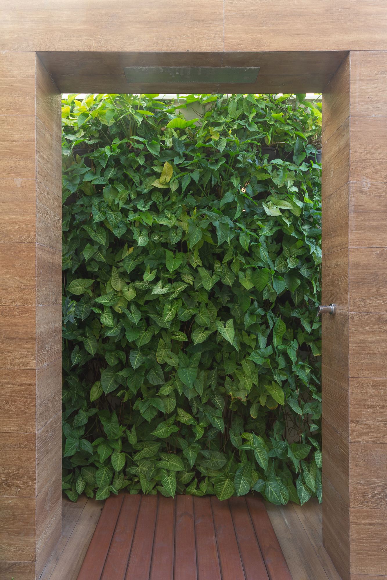 Jardim vertical