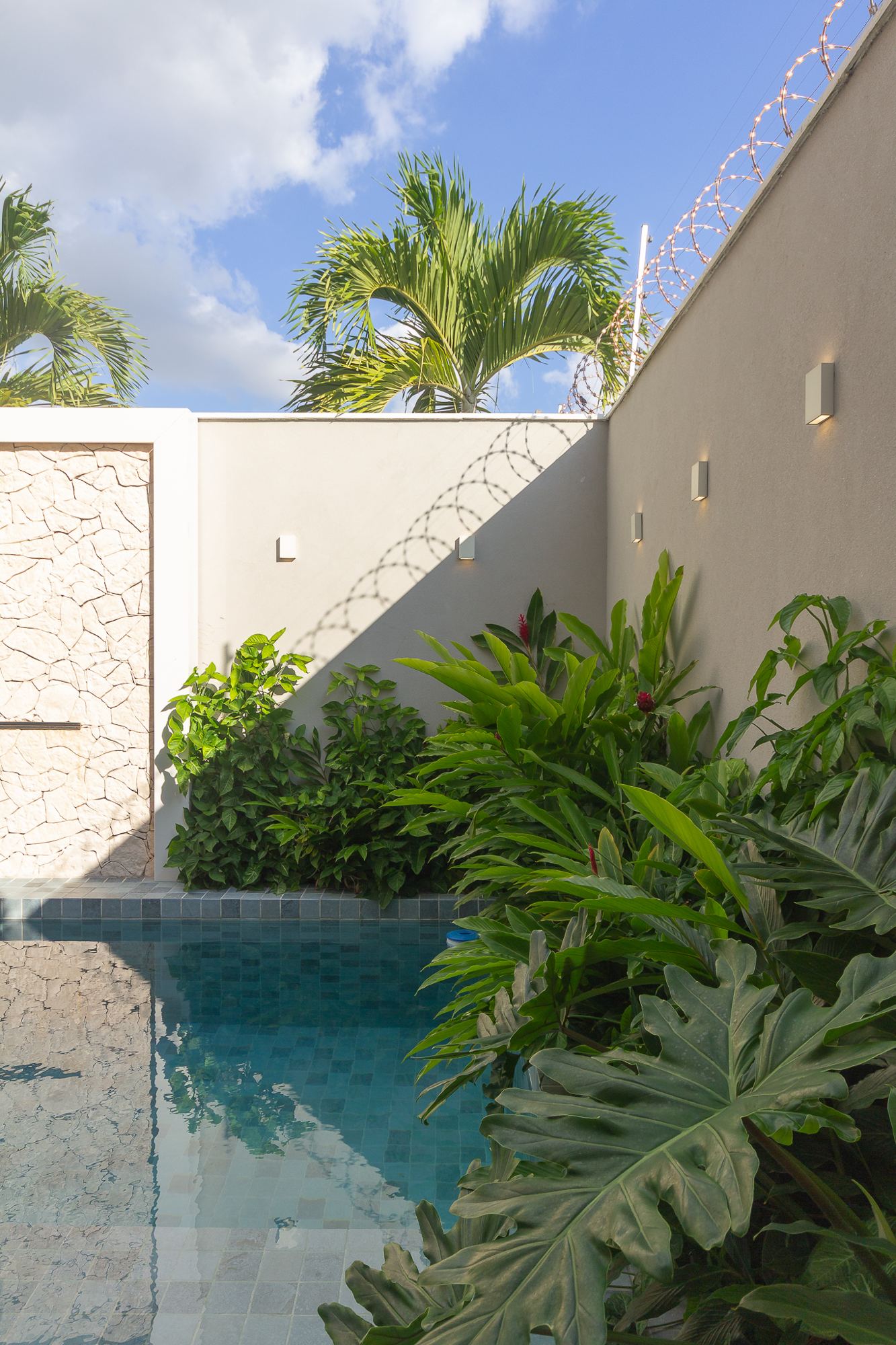 Piscina com jardim tropical